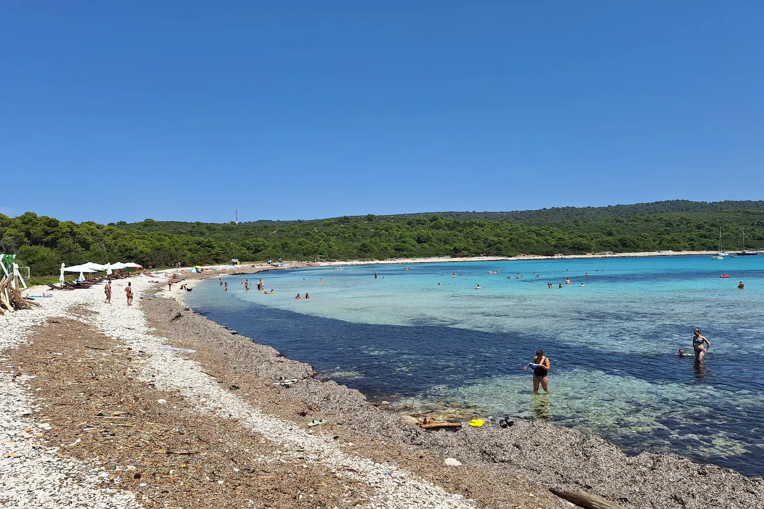 The curving pale beach and shallow turquoise water of Sakarun bay on Dugi Otok, Croatia