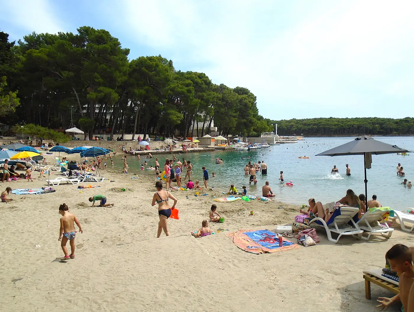 The sandy Cikat beach at Mali Losinj backed by dense pine forest, island of Losinj, Croatia