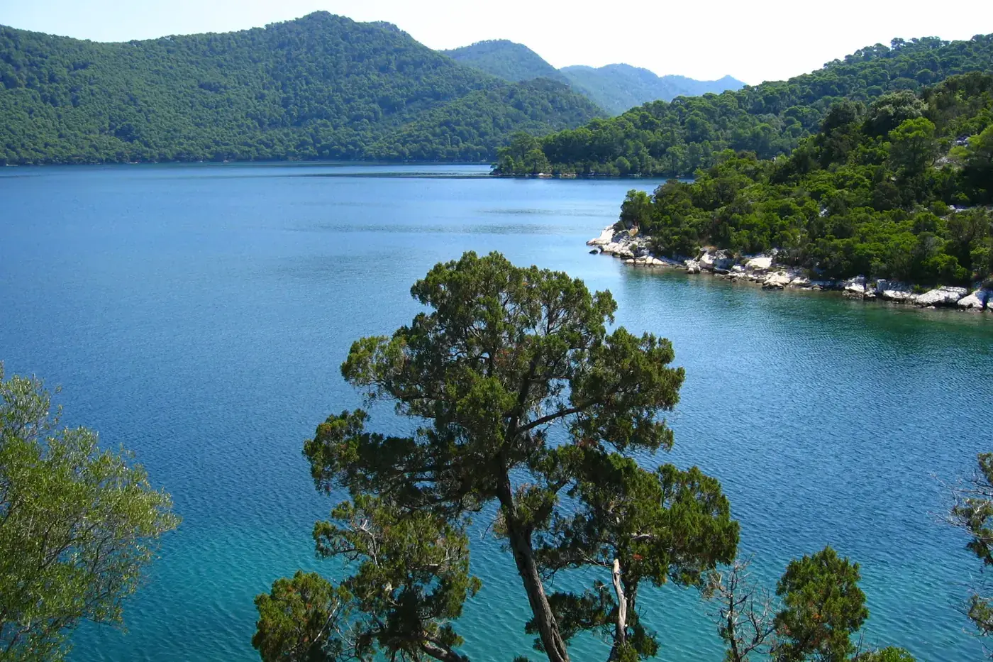 Pine-covered shores around the saltwater lake Veliko jezero on the island of Mljet, Croatia
