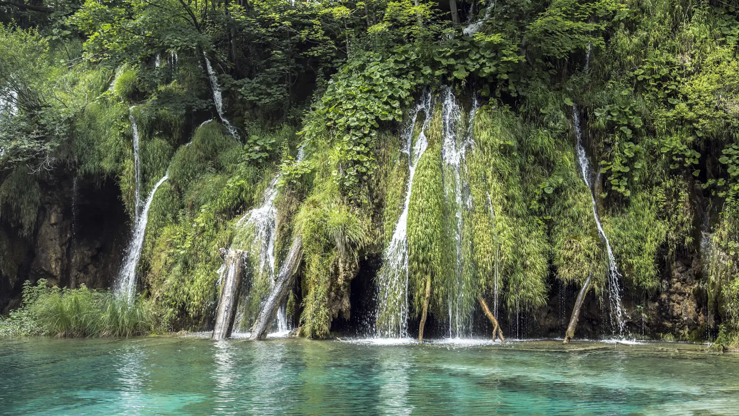 Water cascading over mossy travertine barriers into a turquoise pool, Plitvice Lakes National Park, Croatia